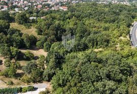 Viškovo, građevinsko zemljište s puno potencijala, Viškovo, Land