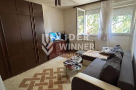 Prostran u mirnom kraju ID#129879, Rakovica, Appartment