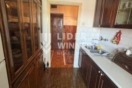 Prostran u mirnom kraju ID#129879, Rakovica, Appartment