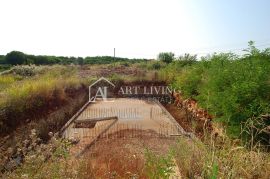 Istra, Umag, okolica - građevinsko zemljište s projektom i građevinskom dozvolom, Umag, Terrain