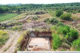 Istra, Umag, okolica - građevinsko zemljište s projektom i građevinskom dozvolom, Umag, Γη