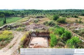 Istra, Umag, okolica - građevinsko zemljište s projektom i građevinskom dozvolom, Umag, Terreno