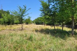 ISTRA, BRTONIGLA - Prostrano poljoprivredno zemljište, Brtonigla, Land