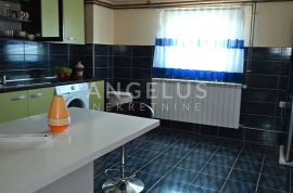 Sisak, Gornji Hrastovac – kuće 620 m2 na imanju 37.400 m2, Majur, Maison