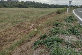 Pogodno za benzinsku pumpu ili trgovački centar, Topusko, Zemljište