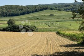 Seosko imanje sa kućom, okućnicom i zemljištem, Šandrovac, House