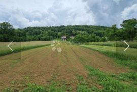 SEOSKO IMANJE U OAZI PRIRODE I TIŠINE , PAZARIŠTE, Gospić - Okolica, Kuća