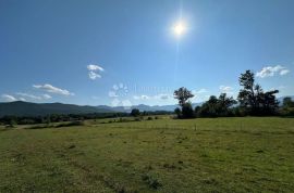 SEOSKO IMANJE U OAZI PRIRODE I TIŠINE , PAZARIŠTE 3600M2, Gospić - Okolica, Casa