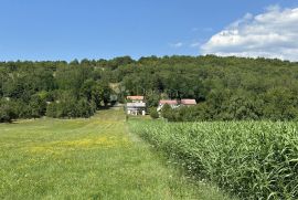 SEOSKO IMANJE S DVA POMOĆNA OBJEKTA I 3800M2 ZEMLJIŠTA, Gospić - Okolica, Maison