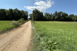 SEOSKO IMANJE S DVA POMOĆNA OBJEKTA I 3800M2 ZEMLJIŠTA, Gospić - Okolica, Famiglia