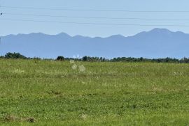 SEOSKO IMANJE S DVA POMOĆNA OBJEKTA I 3800M2 ZEMLJIŠTA, Gospić - Okolica, Haus