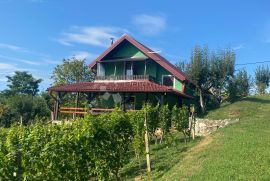 Šarmantna vikendica sa prekrasnim vinogradom, Gornji Kneginec, Famiglia