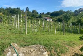 Šarmantna vikendica sa prekrasnim vinogradom, Gornji Kneginec, Ev