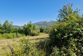 ISTRA, BUZET - Građevinsko zemljište na odličnoj mikrolokaciji, Buzet, Land