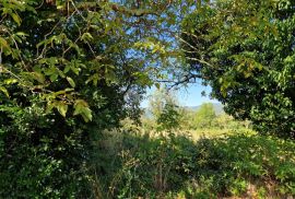 ISTRA, BUZET - Građevinsko zemljište na odličnoj mikrolokaciji, Buzet, Land