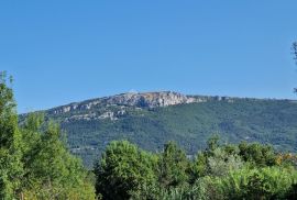 ISTRA, BUZET - Građevinsko zemljište na odličnoj mikrolokaciji, Buzet, Terrain