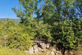 ISTRA, BUZET - Građevinsko zemljište na odličnoj mikrolokaciji, Buzet, Land