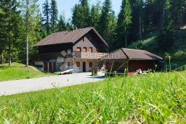 GORSKI KOTAR - PLANINSKA KUĆA NA 20.000 m2 OKUĆNICE, Ravna Gora, House