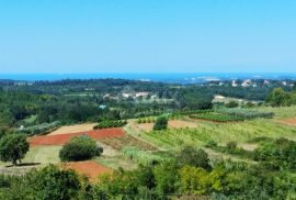 ISTRA, VIŽINADA - Luksuzna vila sa infinity bazenom, Vižinada, Famiglia