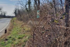 ISTRA, KAROJBA - Građevinska parcela za gradnju obiteljskog doma, Pazin, Arazi