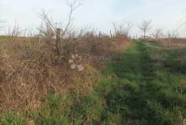 Građevinsko zemljište s pogledom, Barban, Land