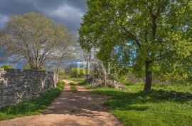 Okolica Bala istarka kuća ,kompletno renovirana, spuštena cijena !, Bale, Casa