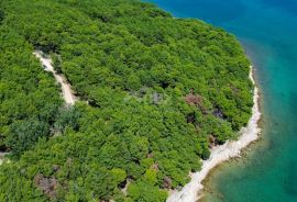 OTOK KRK, GRAD KRK (okolica) - MASLINIK, 1400 m2, sa pomoćnim objektom, samo 150 metara od mora, rijetkost u ponudi, jedinstvena prilika, sniženo!!!, Krk, Γη