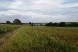 BJELOVAR, NOVA RAČA - Zemljište s mogućnošću izgradnje solarne elektrane, Nova Rača, Land