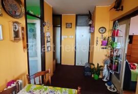 Prvomajska dvoiposoban, Zemun, Apartamento