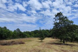 Građevinsko zemljište Top Zemljište kod Barbana, Barban, Land