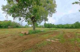 Građevinsko zemljište u okolici Marčane, Istra, Marčana, Land