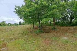 Građevinsko zemljište u okolici Marčane, Istra, Marčana, Land