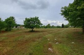 Građevinsko zemljište u okolici Marčane, Istra, Marčana, Terrain