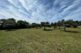 Građevinsko zemljište Lijepo građevinsko zemljište u blizini Vodnjana, Vodnjan, Terrain