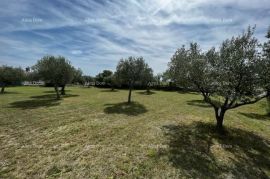 Građevinsko zemljište Lijepo građevinsko zemljište u blizini Vodnjana, Vodnjan, Land