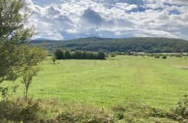 Lika Jezerane kamena kuća 58 m2 + okućnica 900 m2 - povoljno, Brinje, Maison