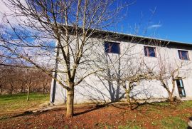 Imotski poslovni objekt 635 m2 sa zemljištem 1950 m2, Imotski, Ticari emlak