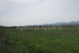 Imotski Postranje 18000 m2 poljoprivredno!, Imotski, أرض