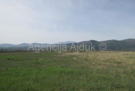 Imotski Postranje 18000 m2 poljoprivredno!, Imotski, أرض