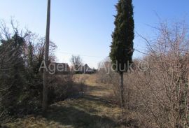 Imotski Lovreć četiri kamene kuće i velika okućnica 13000 m2, Lovreć, Kuća