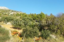 Hvar poljoprivredno zemljište 80000m2 Sv. Nedjelja, Hvar, Land