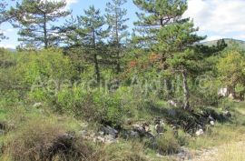 Imotski Grubine 4553 m2 građevinsko zemljište, Imotski, Terrain