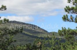 Imotski Grubine 4553 m2 građevinsko zemljište, Imotski, أرض