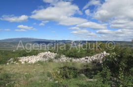 Imotski Grubine 4553 m2 građevinsko zemljište, Imotski, Terrain