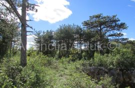 Imotski Grubine 4553 m2 građevinsko zemljište, Imotski, Terreno