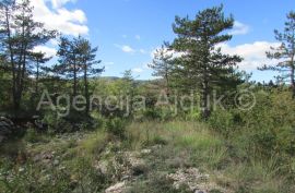 Imotski Grubine 4553 m2 građevinsko zemljište, Imotski, Land