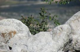 Imotski Grubine 4553 m2 građevinsko zemljište, Imotski, Земля