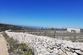 Šibenik Rogoznica 5636 m2 sa kućicom, pogled na more!, Rogoznica, Land