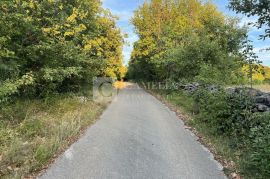 Oprtalj okolica lijepo zemljište 4500 m2 sa starinom!, Oprtalj, Terrain