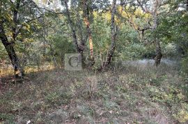 Oprtalj okolica lijepo zemljište 4500 m2 sa starinom!, Oprtalj, Terrain